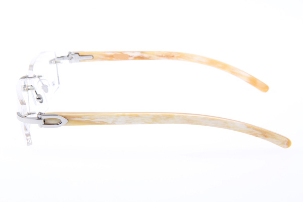 CT 3524012 White Buffalo Eyeglasses In Silver