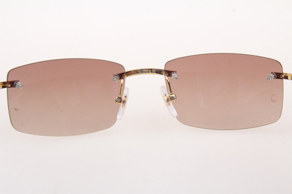 CT 3524012 White Buffalo Sunglasses In Gold Brown