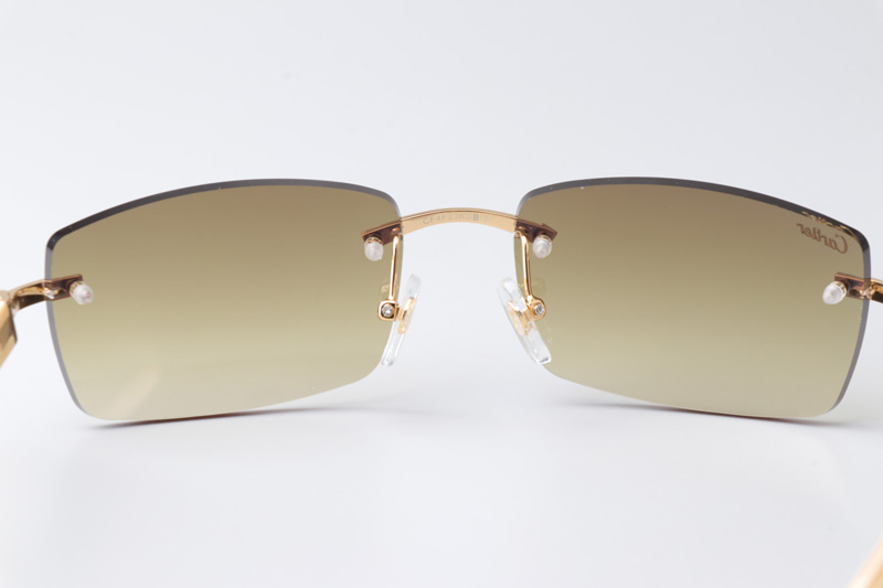 CT 3524012 White Buffalo Sunglasses In Gold Brown