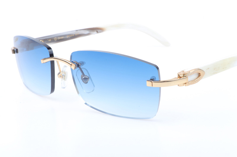 CT 3524012 White Buffalo Sunglasses In Gold Gradient Blue