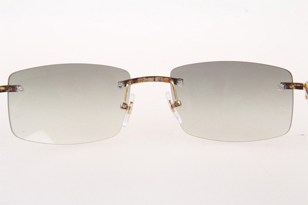 CT 3524012 White Buffalo Sunglasses In Gold Grey