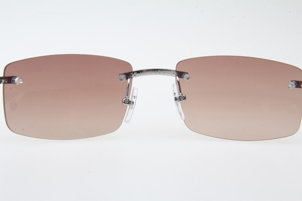CT 3524012 White Buffalo Sunglasses In Silver Brown