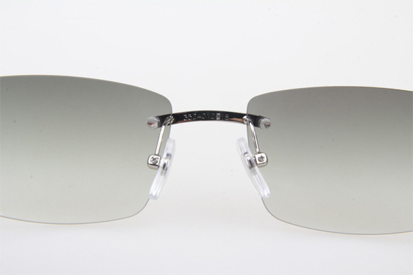 CT 3524012 White Buffalo Sunglasses In Silver Grey