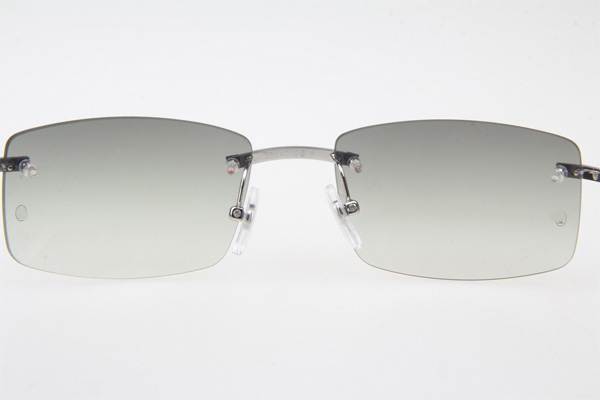 CT 3524012 White Buffalo Sunglasses In Silver Grey