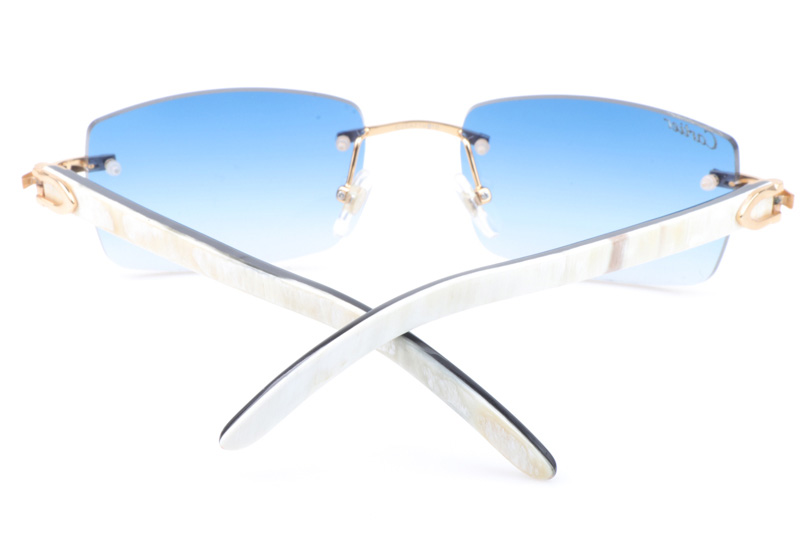 CT 3524012 White Mix Black Buffalo Sunglasses In Gold Gradient Blue