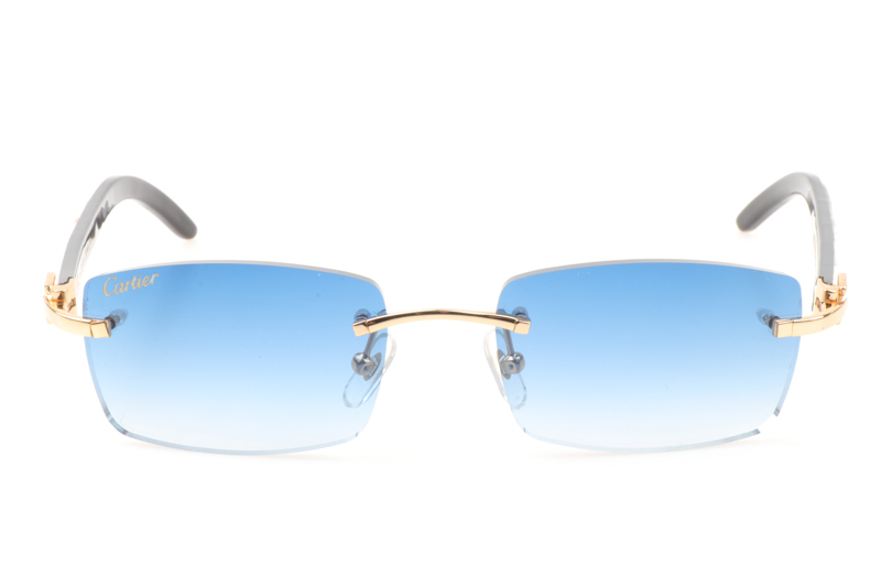 CT 3524012 White Mix Black Buffalo Sunglasses In Gold Gradient Blue