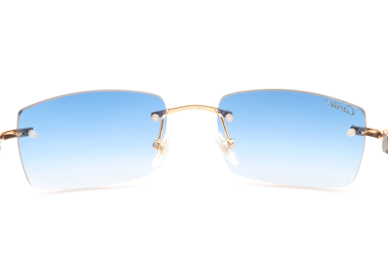 CT 3524012 White Mix Black Buffalo Sunglasses In Gold Gradient Blue