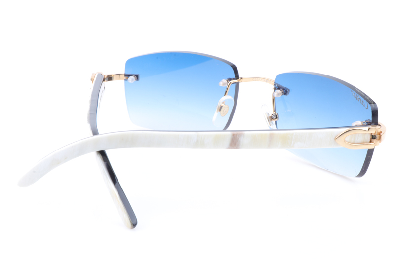 CT 3524012 White Mix Black Buffalo Sunglasses In Gold Gradient Blue