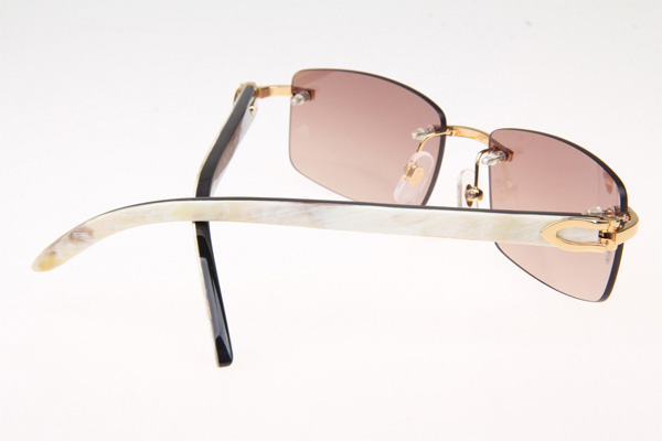 CT 3524012 White mix Black Buffalo Sunglasses In Gold Brown