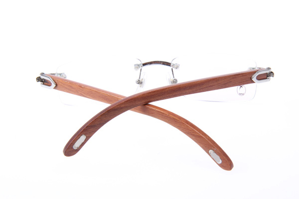 CT 3524012 Wood Eyeglasses In Silver
