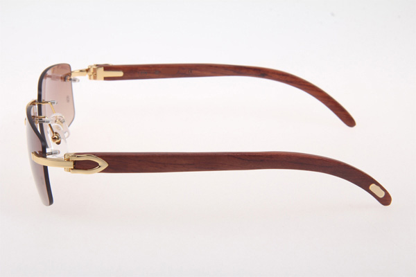 CT 3524012 Wood Sunglasses In Gold Brown