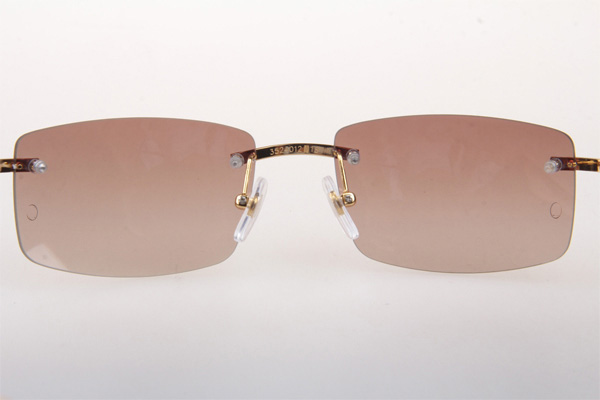 CT 3524012 Wood Sunglasses In Gold Brown