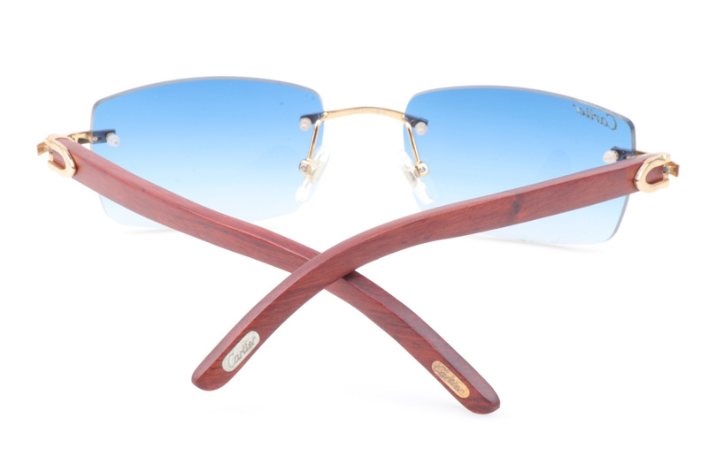 CT 3524012 Wood Sunglasses In Gold Gradient Blue