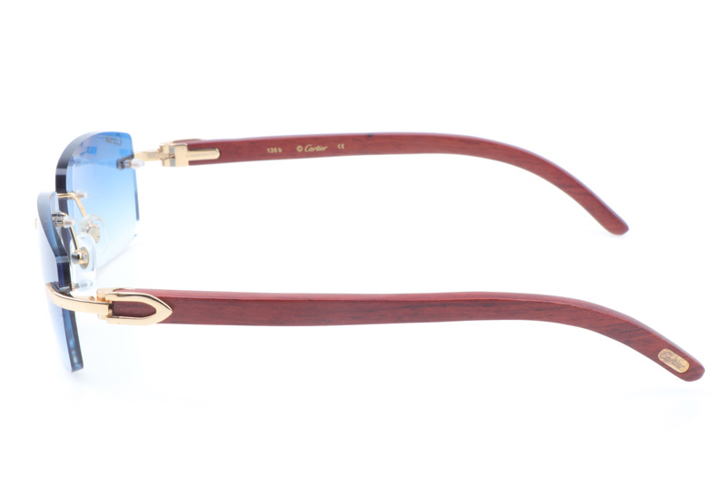 CT 3524012 Wood Sunglasses In Gold Gradient Blue