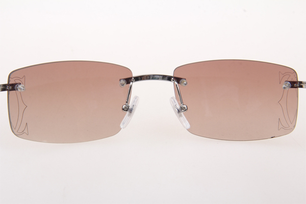 CT 3524012 Wood Sunglasses In Silver Brown