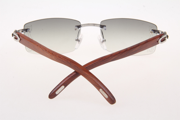 CT 3524012 Wood Sunglasses In Silver Grey
