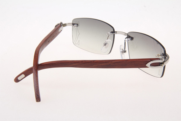 CT 3524012 Wood Sunglasses In Silver Grey