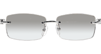 CT 3524012 Wood Sunglasses In Silver Grey
