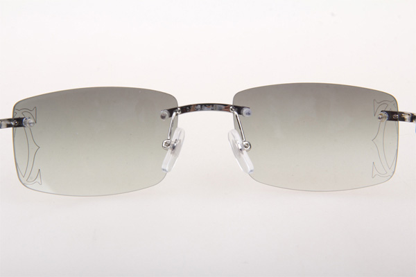 CT 3524012 Wood Sunglasses In Silver Grey