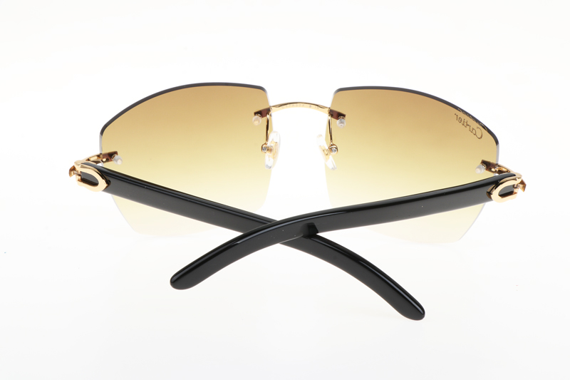 CT 4189706 Black Buffalo Sunglasses In Gold Gradient Brown