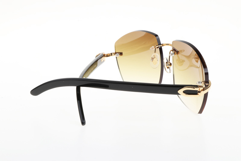 CT 4189706 Black Buffalo Sunglasses In Gold Gradient Brown