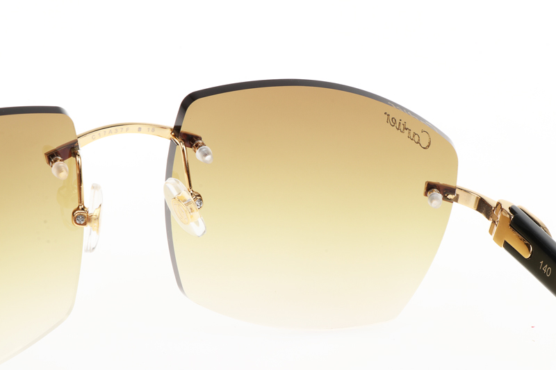 CT 4189706 Black Buffalo Sunglasses In Gold Gradient Brown