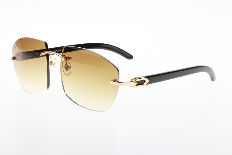 CT 4189706 Black Buffalo Sunglasses In Gold Gradient Brown