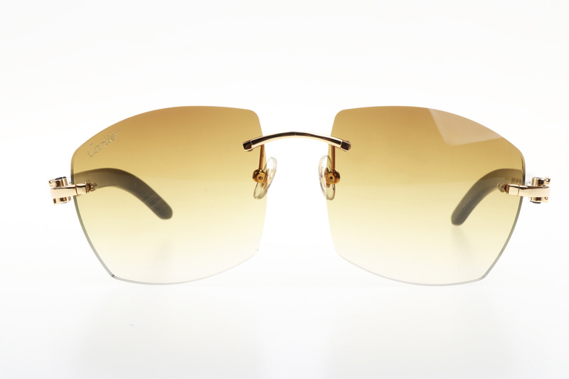 CT 4189706 Black Buffalo Sunglasses In Gold Gradient Brown