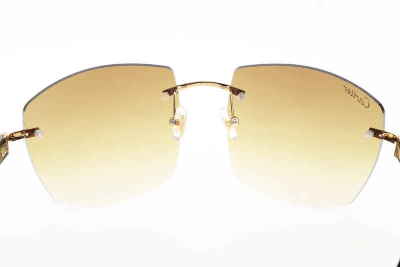 CT 4189706 Black Buffalo Sunglasses In Gold Gradient Brown