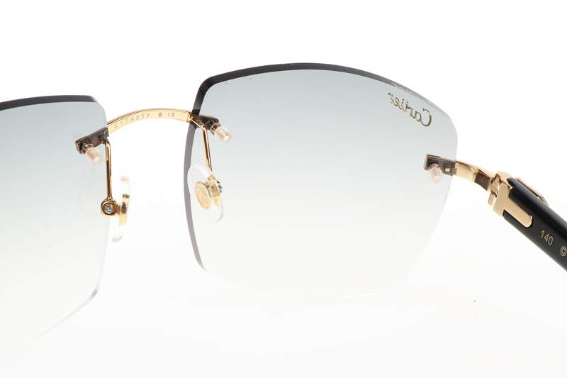 CT 4189706 Black Buffalo Sunglasses In Gold Gradient Grey