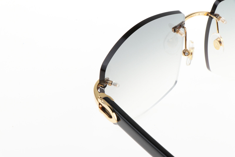 CT 4189706 Black Buffalo Sunglasses In Gold Gradient Grey