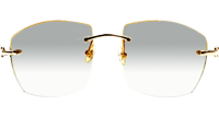 CT 4189706 Black Buffalo Sunglasses In Gold Gradient Grey