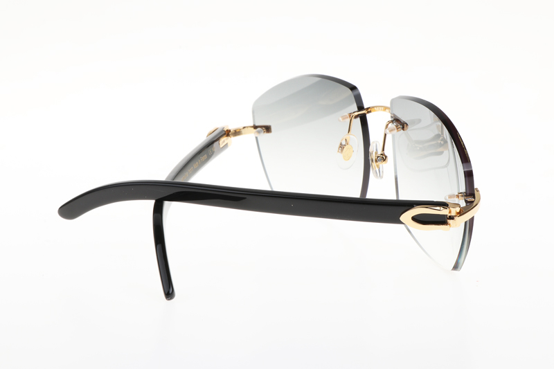 CT 4189706 Black Buffalo Sunglasses In Gold Gradient Grey