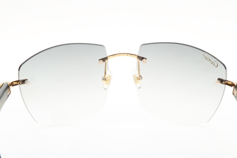 CT 4189706 Black Buffalo Sunglasses In Gold Gradient Grey