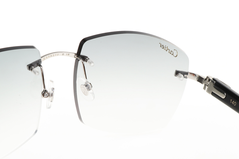 CT 4189706 Black Buffalo Sunglasses In Silver Gradient Grey