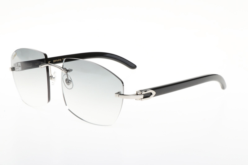 CT 4189706 Black Buffalo Sunglasses In Silver Gradient Grey