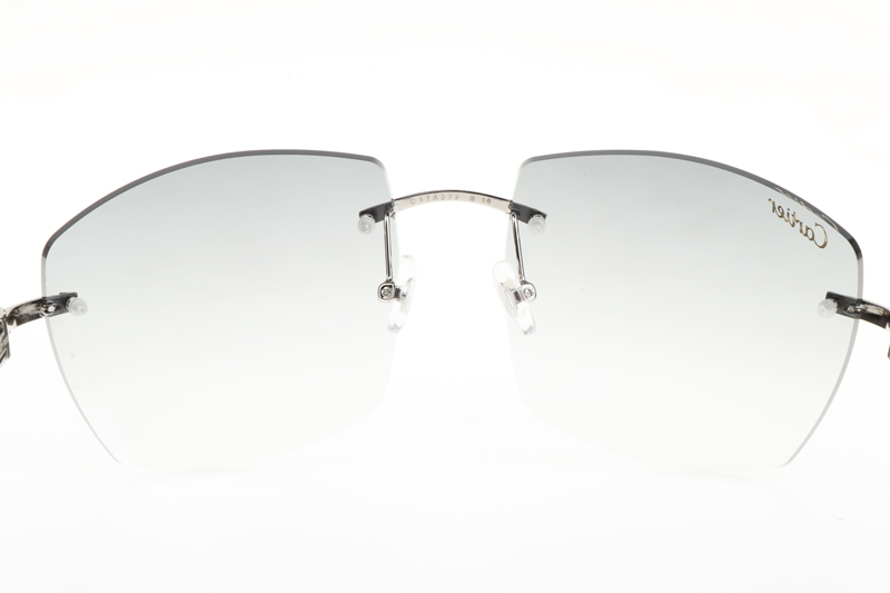 CT 4189706 Black Buffalo Sunglasses In Silver Gradient Grey