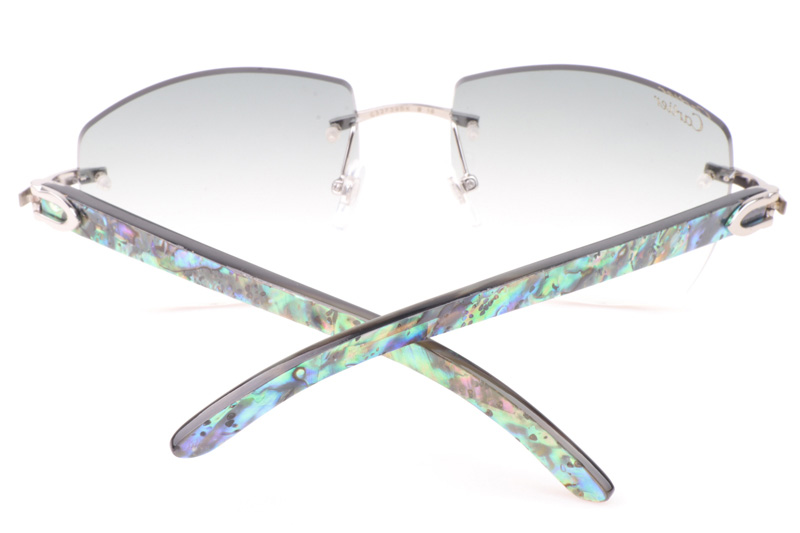 CT 4189706 Shell Mix Black Buffalo Sunglasses In Silver Gradient Grey