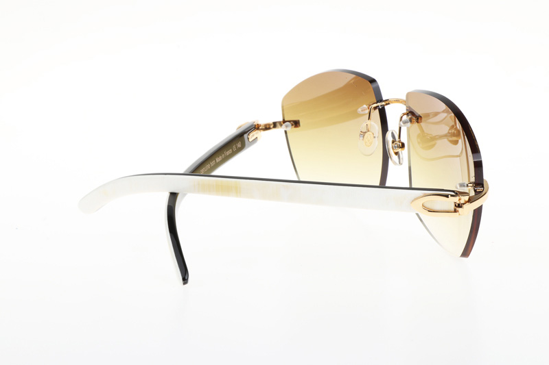 CT 4189706 White Mix Black Buffalo Sunglasses In Gold Gradient Brown