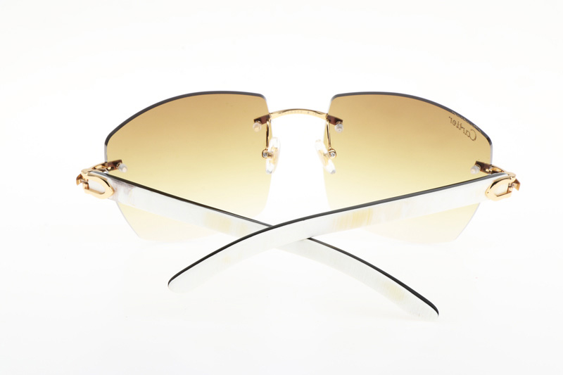 CT 4189706 White Mix Black Buffalo Sunglasses In Gold Gradient Brown