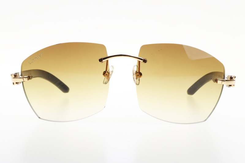 CT 4189706 White Mix Black Buffalo Sunglasses In Gold Gradient Brown