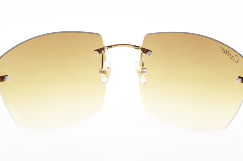 CT 4189706 White Mix Black Buffalo Sunglasses In Gold Gradient Brown