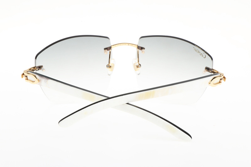 CT 4189706 White Mix Black Buffalo Sunglasses In Gold Gradient Grey