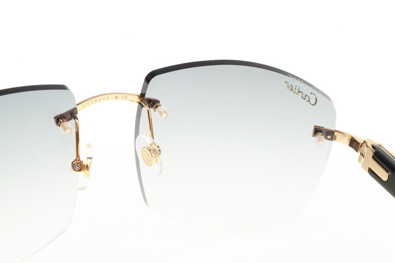 CT 4189706 White Mix Black Buffalo Sunglasses In Gold Gradient Grey
