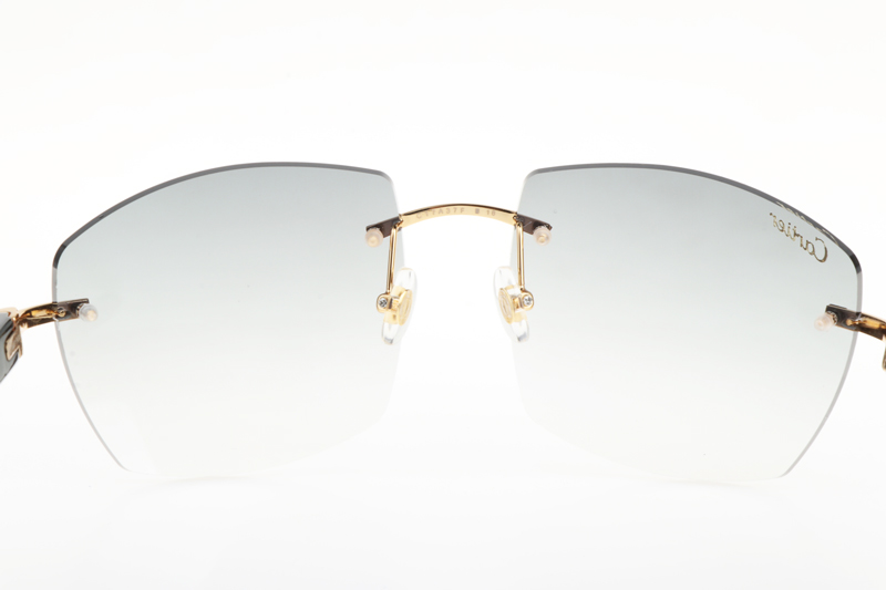 CT 4189706 White Mix Black Buffalo Sunglasses In Gold Gradient Grey
