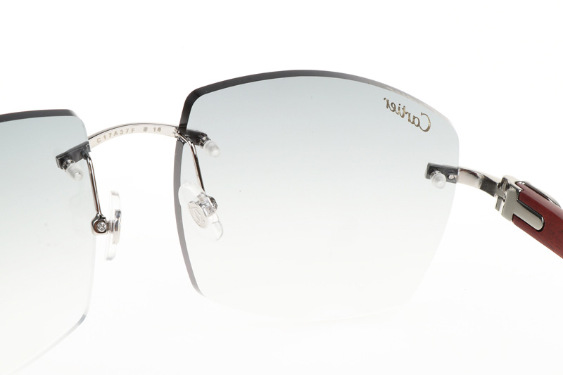 CT 4189706 Wood Sunglasses In Silver Gradient Grey