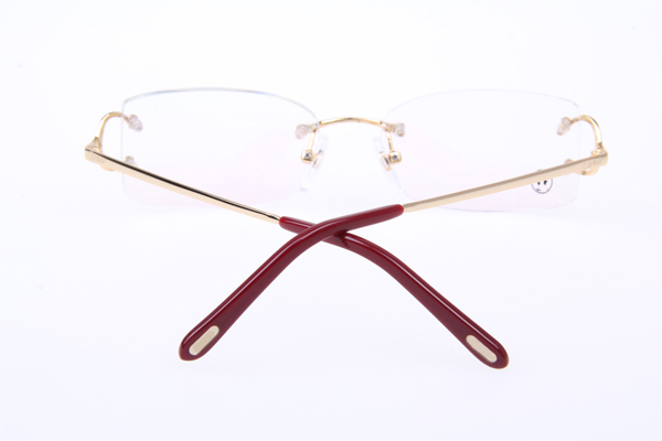 CT 4193826 Eyeglasses In Gold