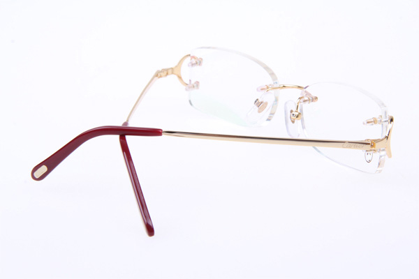 CT 4193826 Eyeglasses In Gold