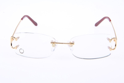 CT 4193826 Eyeglasses In Gold