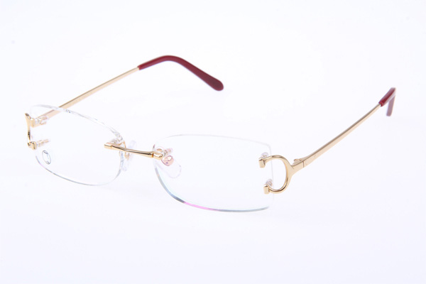 CT 4193826 Eyeglasses In Gold